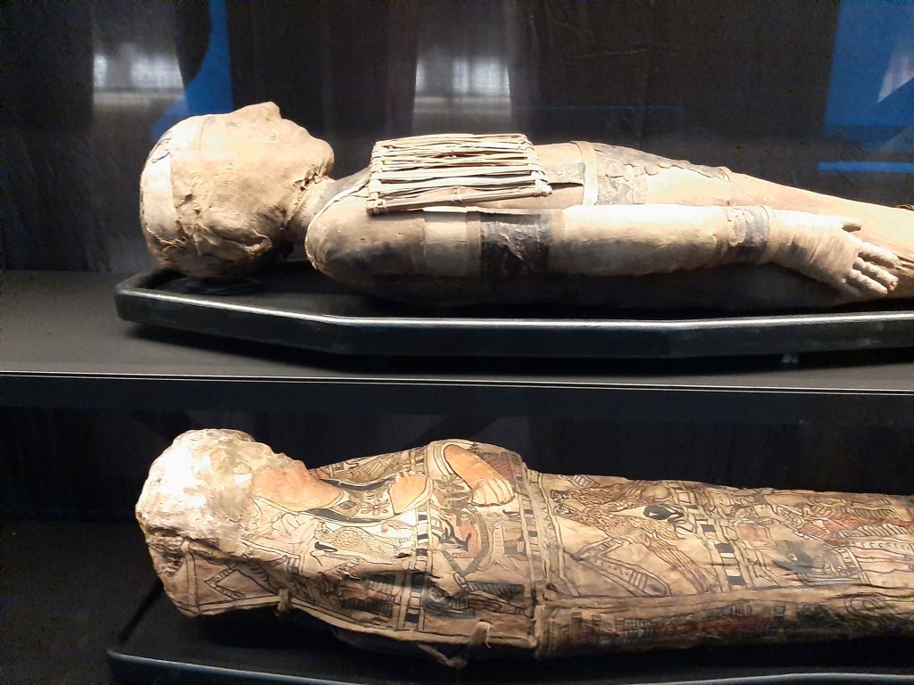 Rijksmuseum van Oudheden