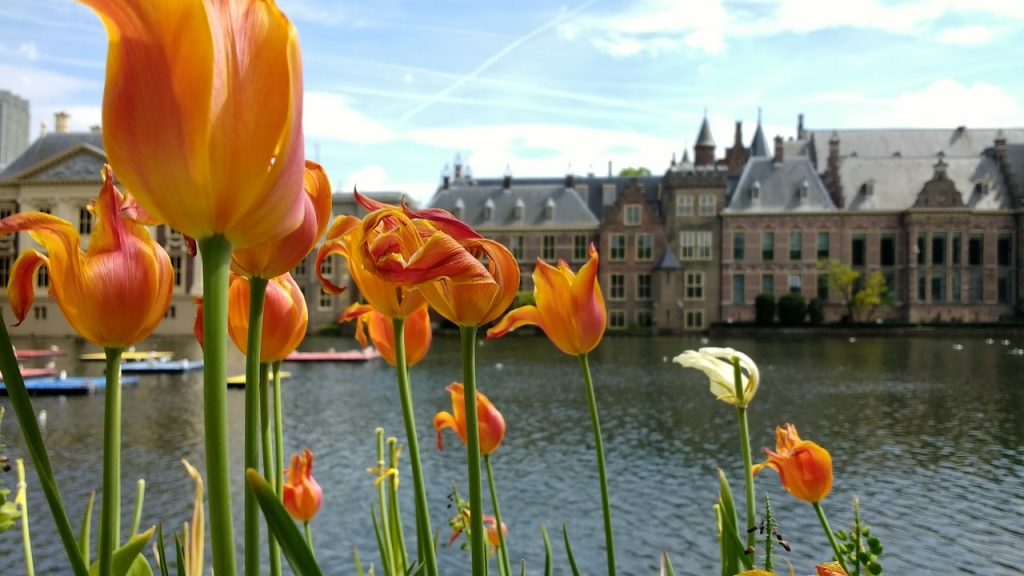 Den Haag mit kindern