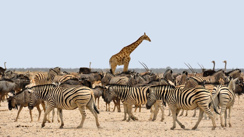 Namibia Familienreise