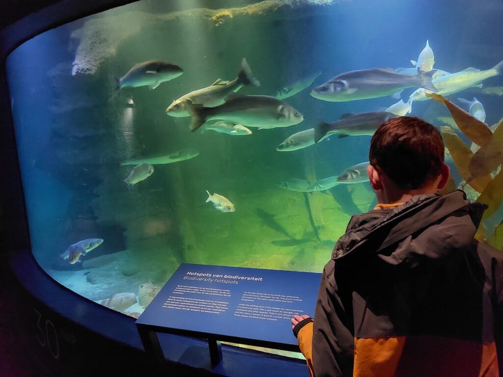 Aquarium Den Helder