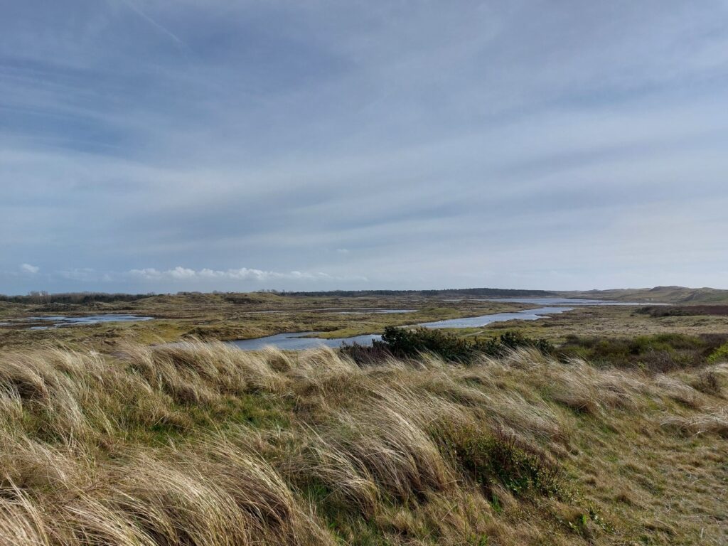 Den Helder mit Kindern