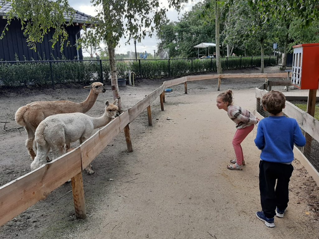 Landgoed Hoenderdaell