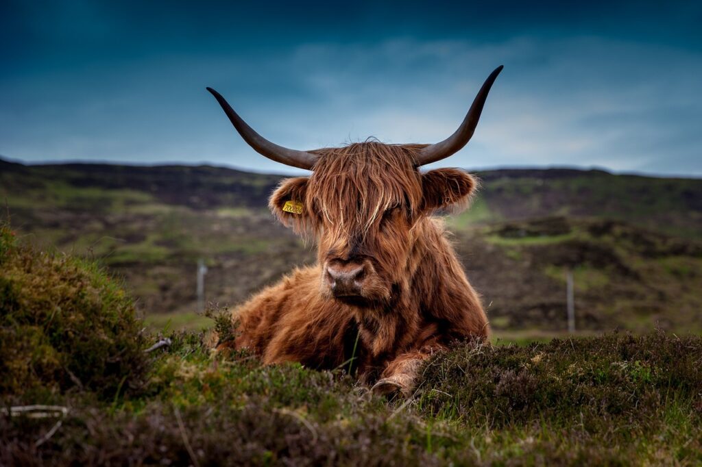 Schottland mit Kindern