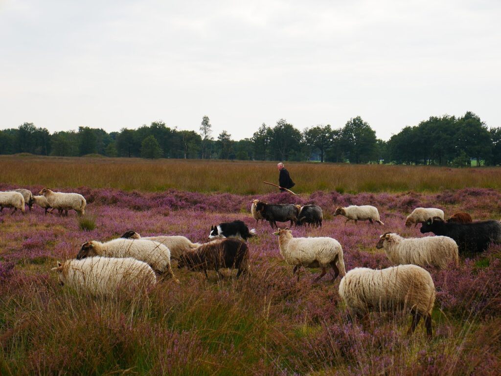 Drenthe mit Kindern