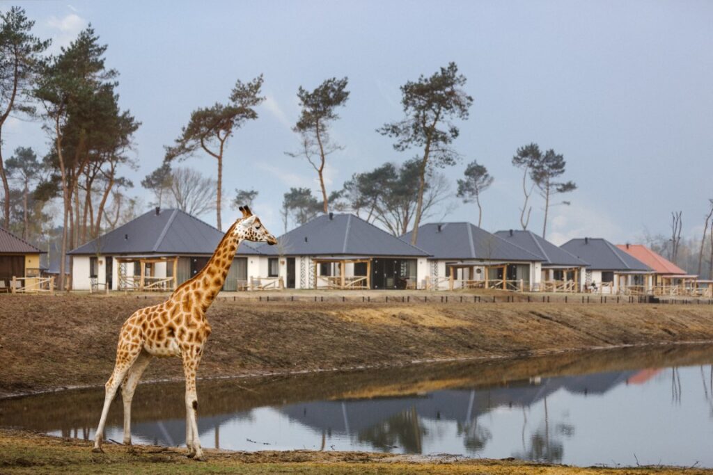 Safaripark Beekse Bergen