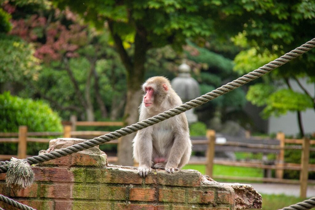 Tierpark Amersfoort
