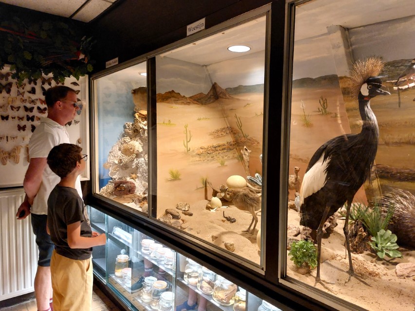 Haarlem mit Kindern Zoo