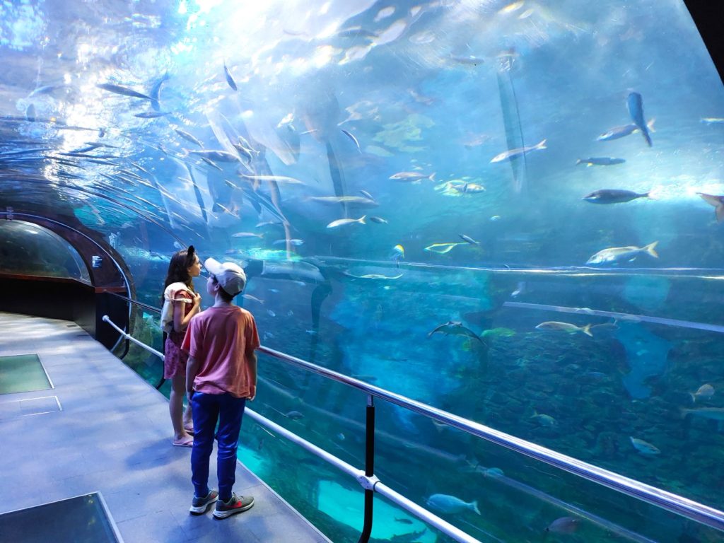 San Sebastian Aquarium