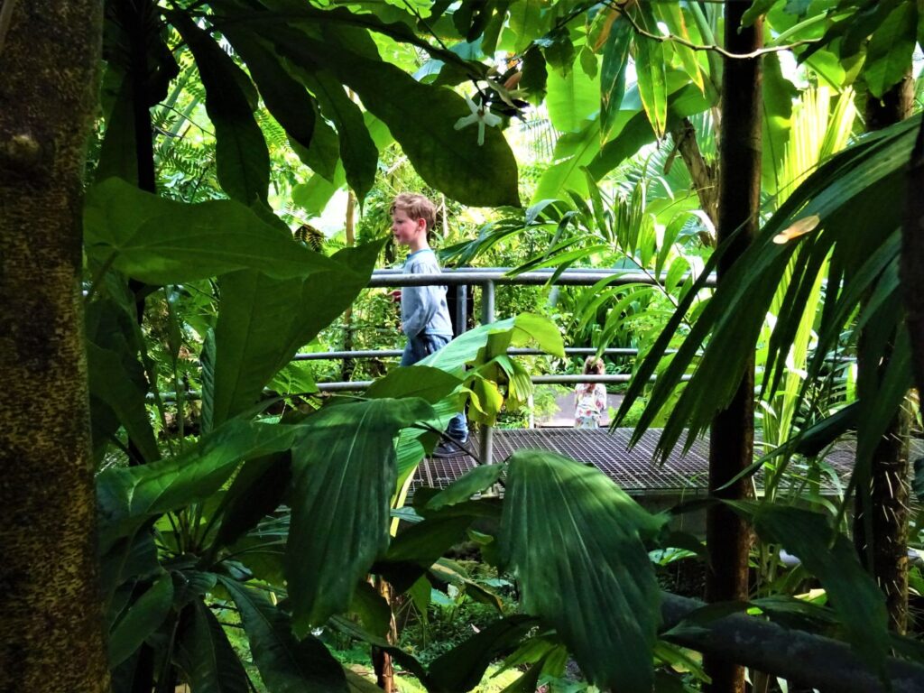 Hortus Amsterdam