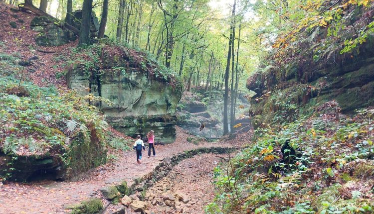 Müllerthal mit Kindern