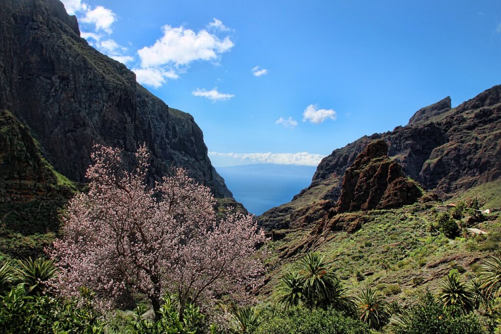 Teneriffa mit Kindern