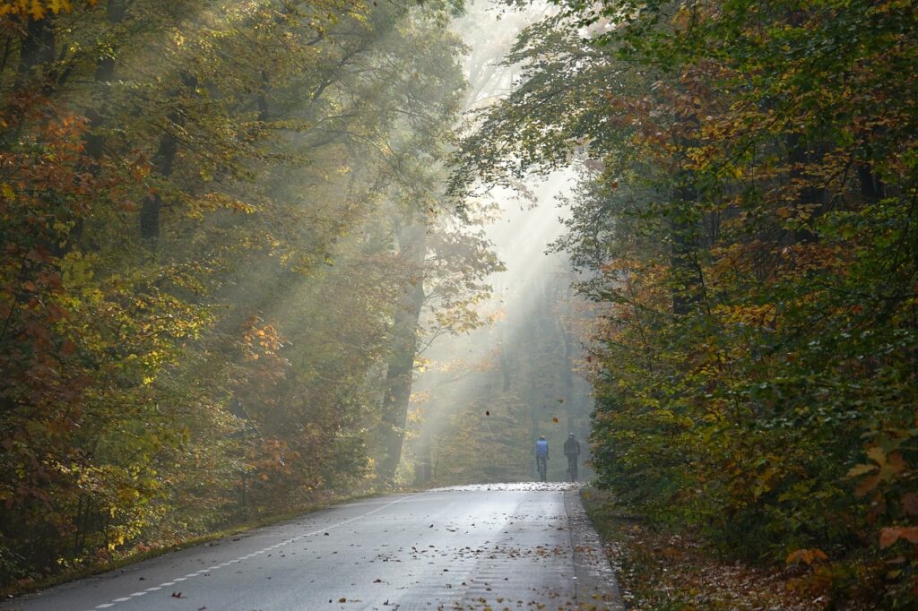 Veluwe Holland Urlaub mit Kindern