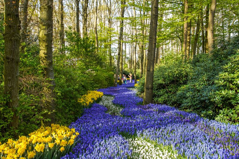 Amsterdam Keukenhof Kindern