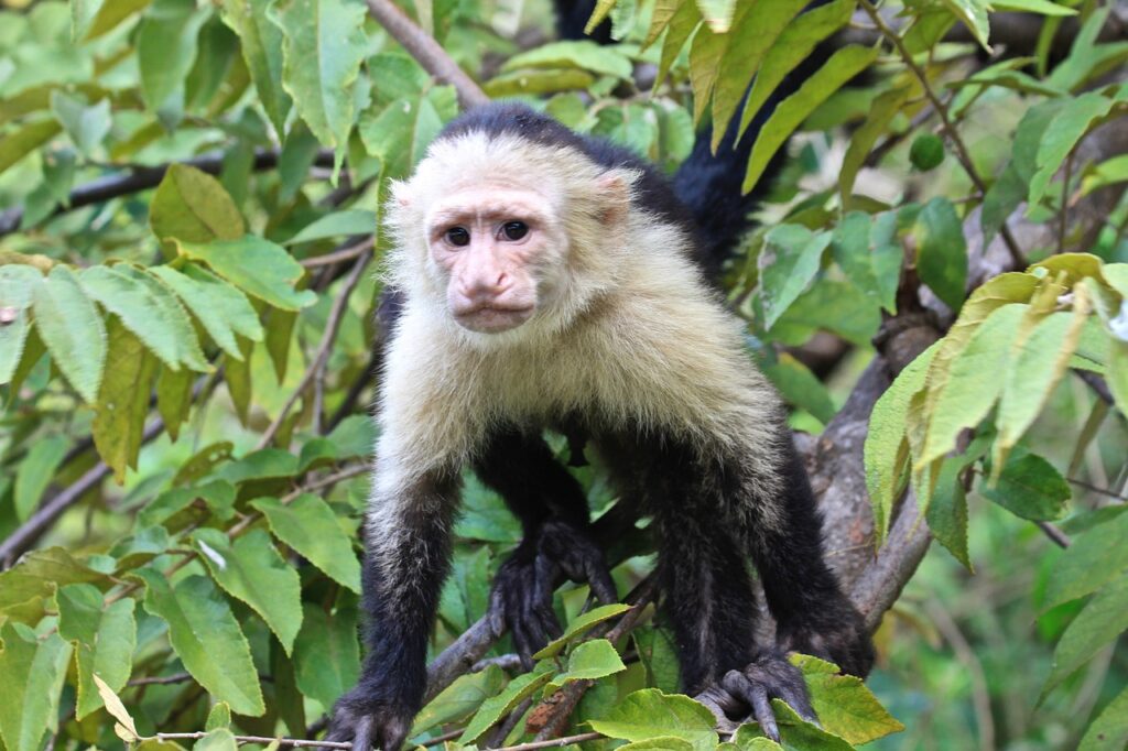 Costa Rica mit Kindern