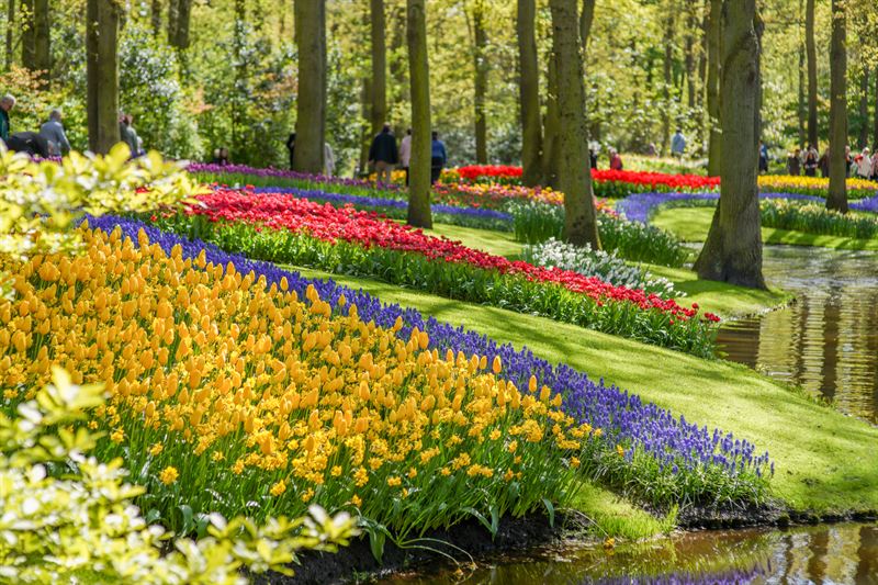 Keukenhof Amsterdam mit Kindern besuchen – Tipps