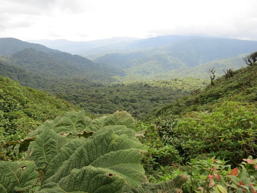 Monteverde Costa Rica