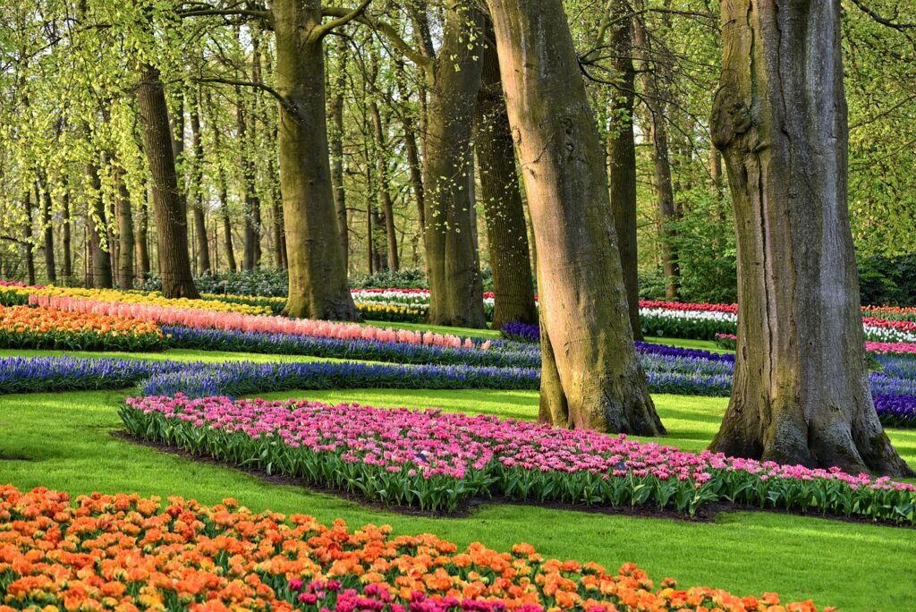 Keukenhof Amsterdam
