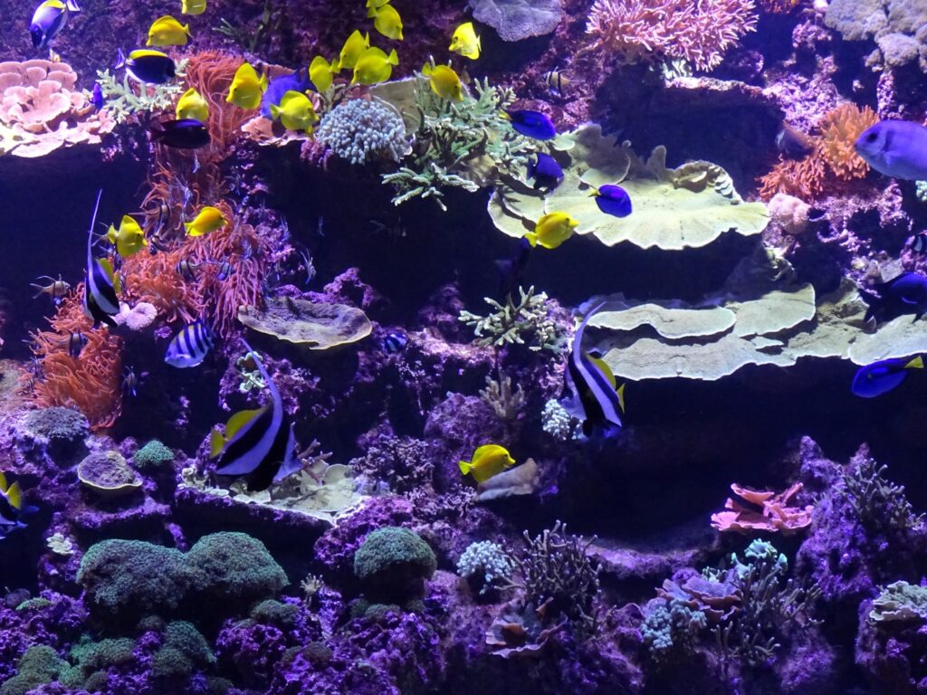 Aquarium Sevilla mit Kindern