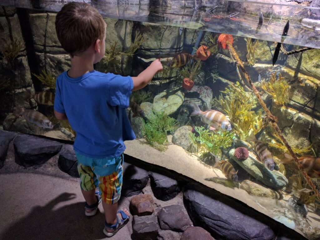 SEA LIFE