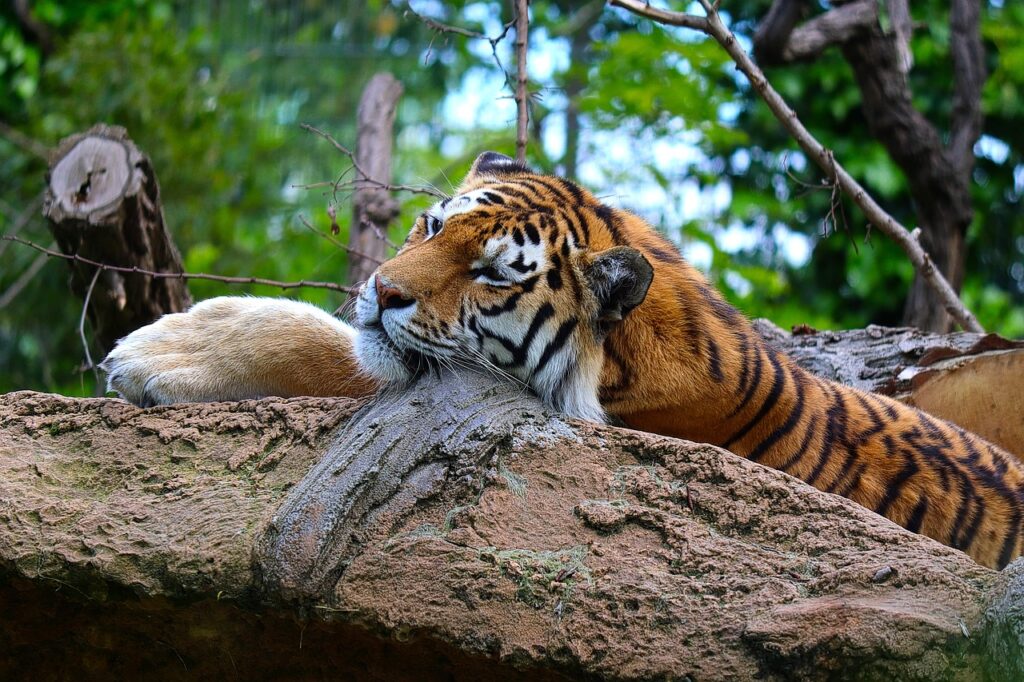 Zoo Duisburg
