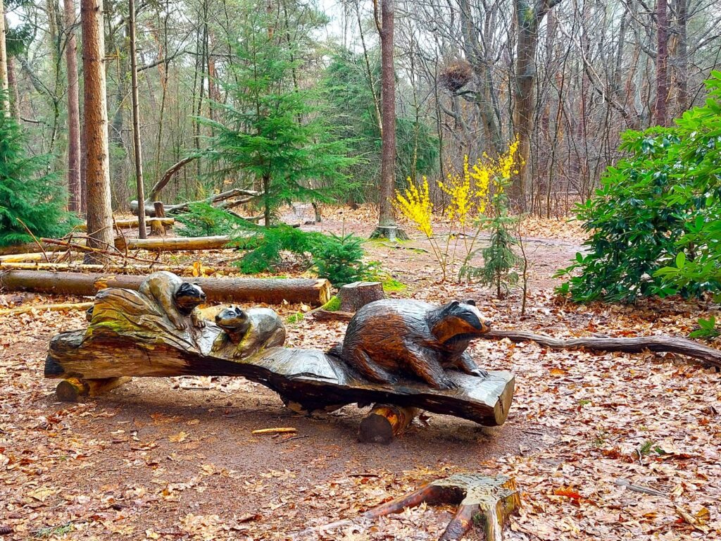 Bos van Daantje Das