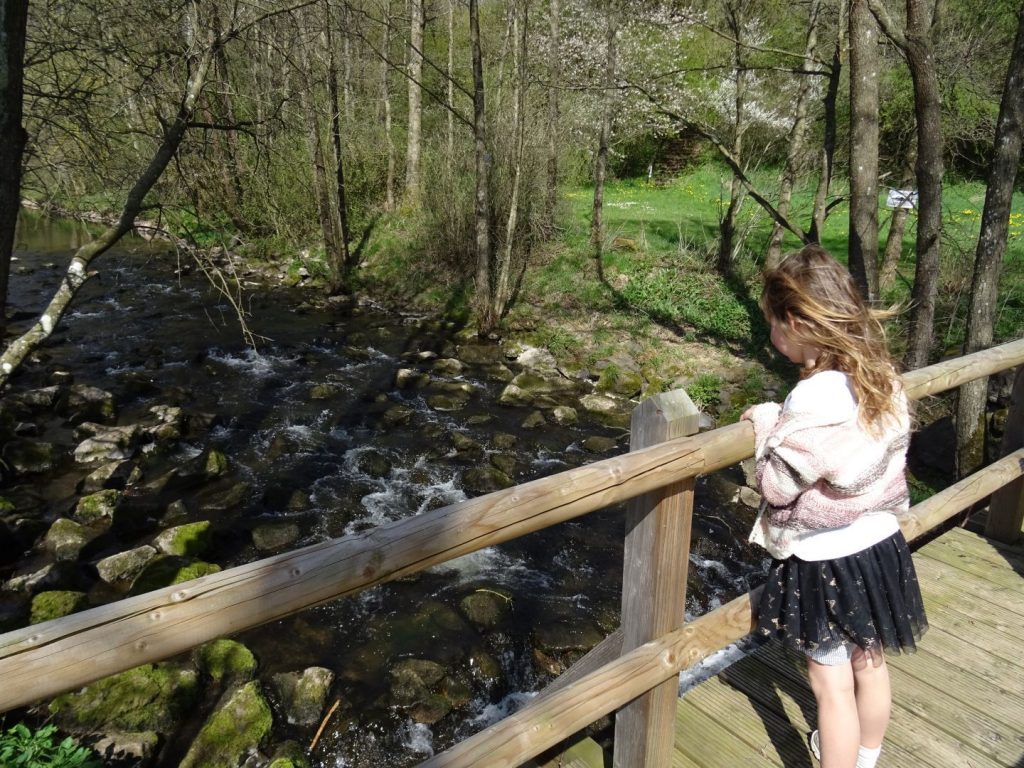 Eifel mit Kindern | 20x Ausflüge & Geheimtipps