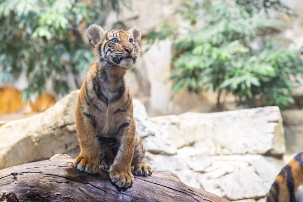 Tierpark Berlin