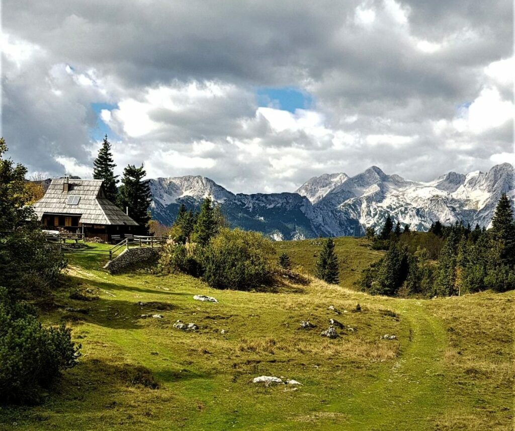 Velika Planina