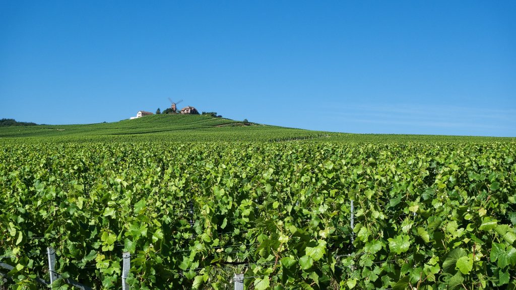 Champagne-Ardenne mit Kindern: 15x Aktivitäten