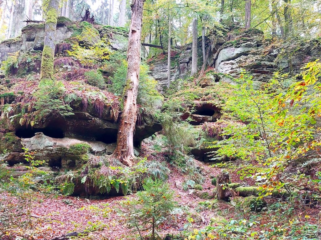 Mullerthal Kurzurlaub Kindern