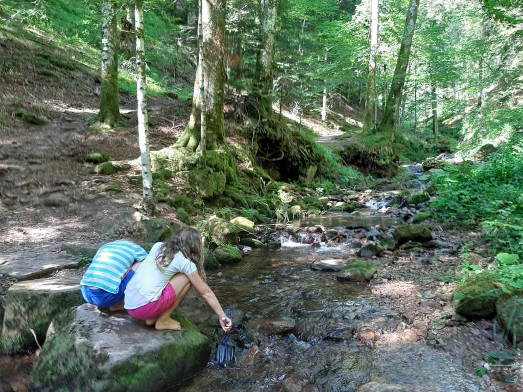 Natururlaub Oberkirch Kindern
