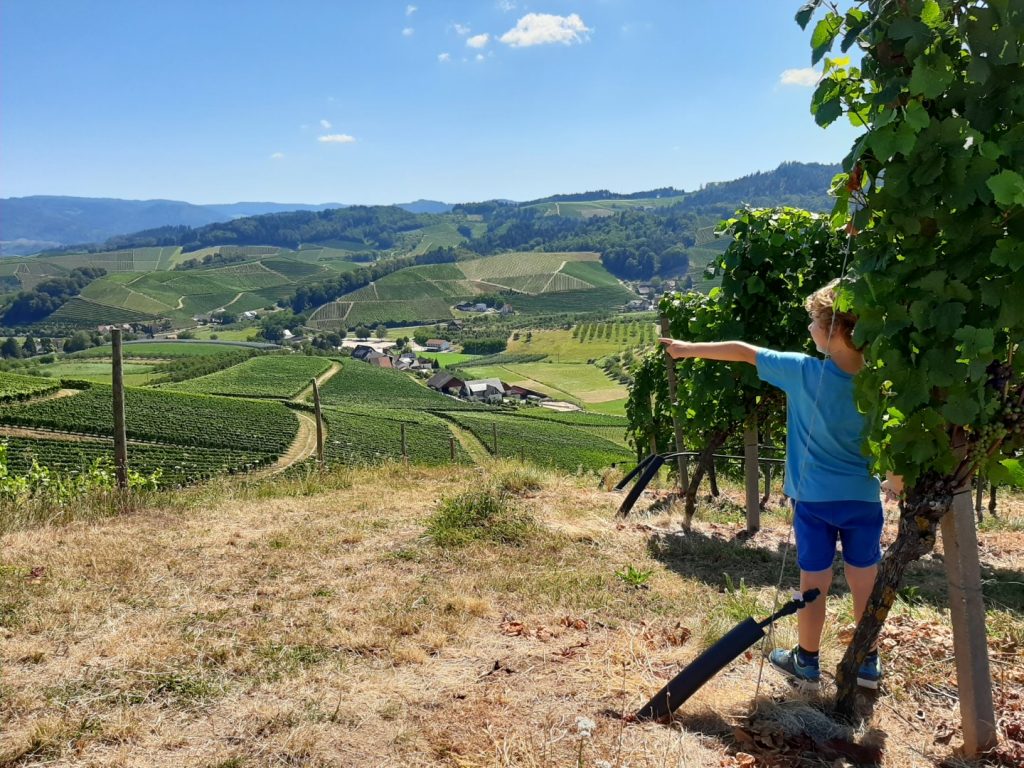 Bad Peterstal + Oberkirch mit Kindern (Renchtal Ausflüge)