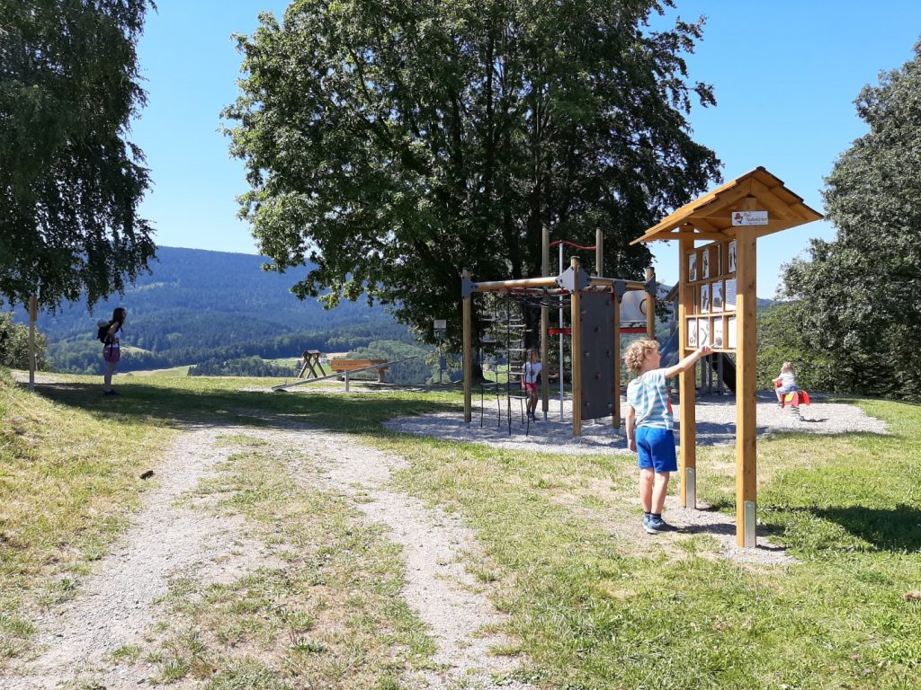 Rosi Rotkehlchen Schwarzwald mit Kindern
