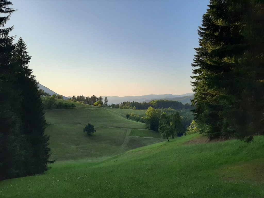 Schwarzwald