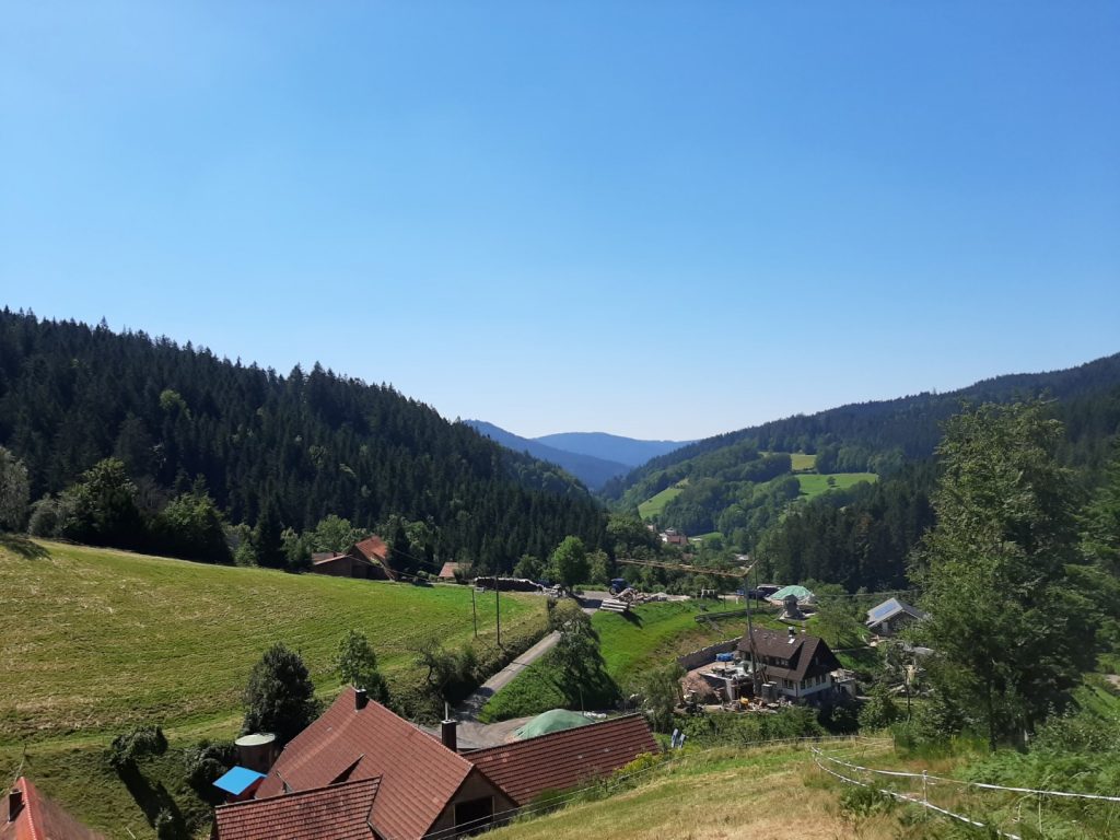 Wiesensteig Schwarzwald mit Kindern Urlaub