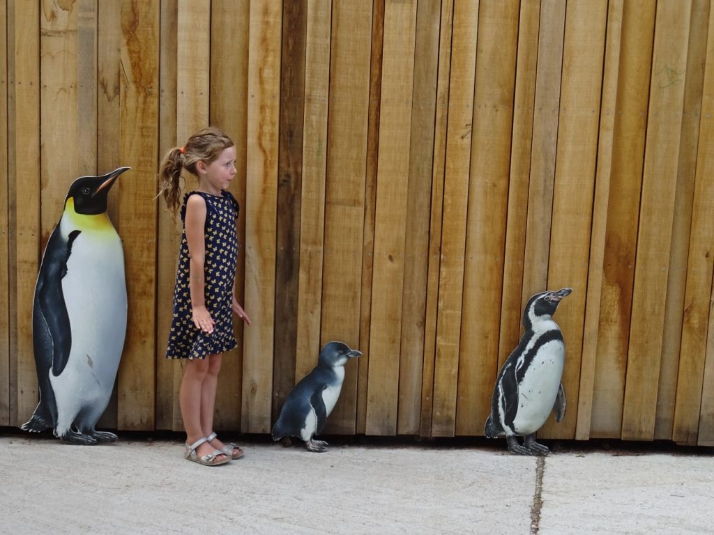 ZOO Frankfurt