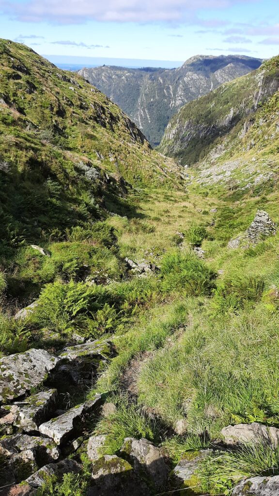 Vestland