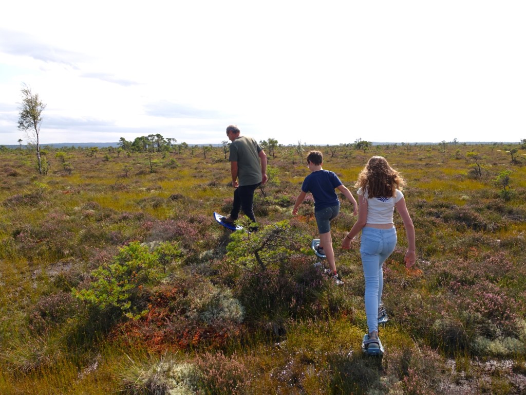Geheimtipp Småland mit Kindern