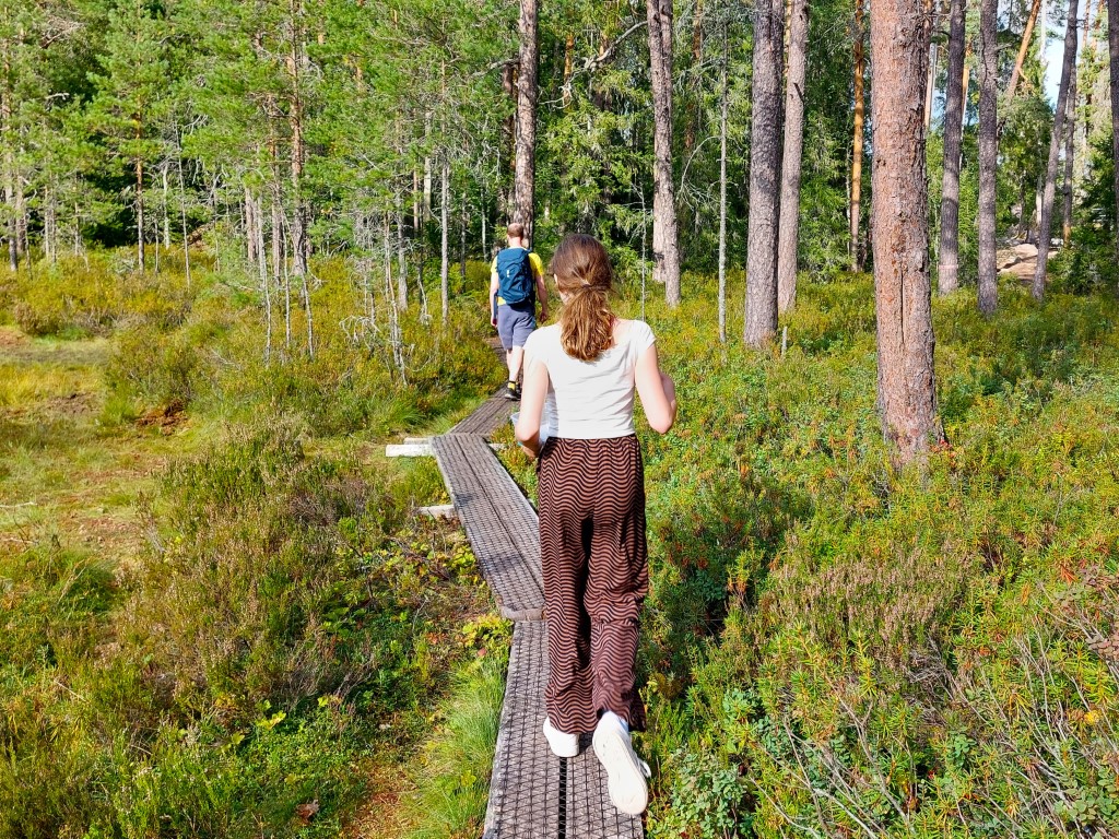 Norra Kvill-Nationalpark Småland mit Kindern