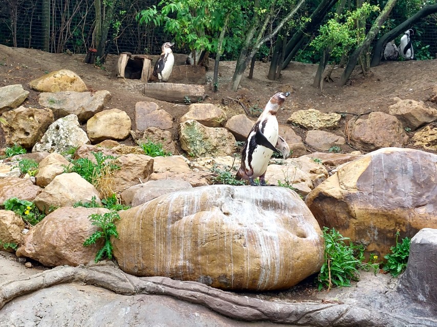 Zoo Frankreich mit Kindern