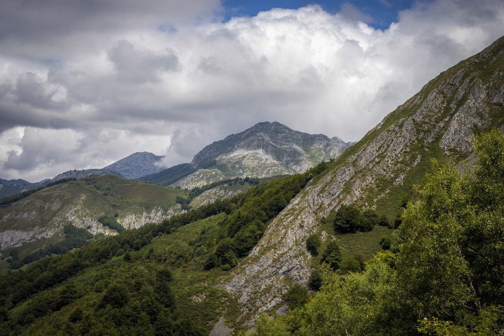 Picos de Europa