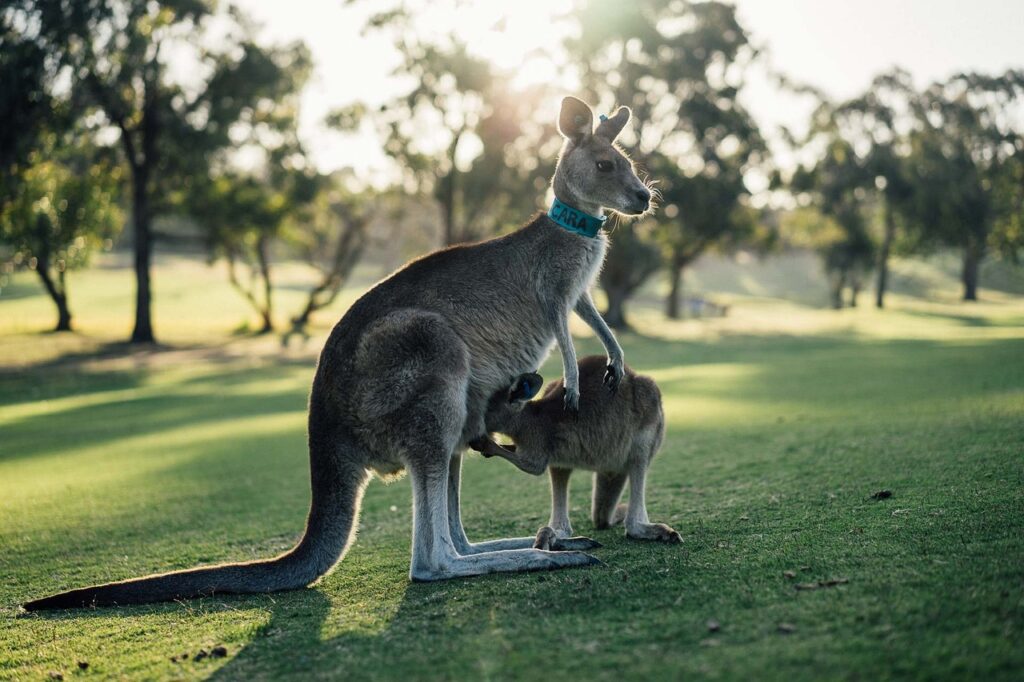 Australien mit Kindern