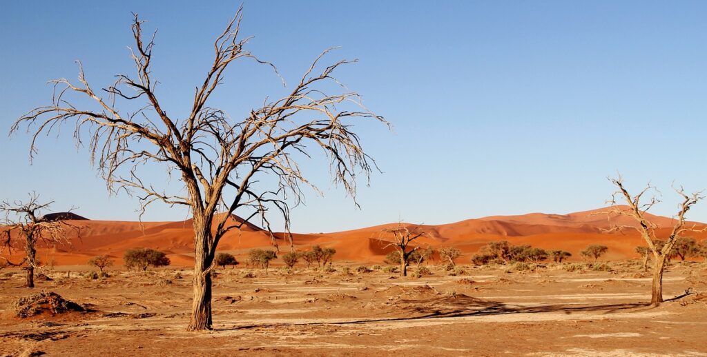 Namibia mit Kindern