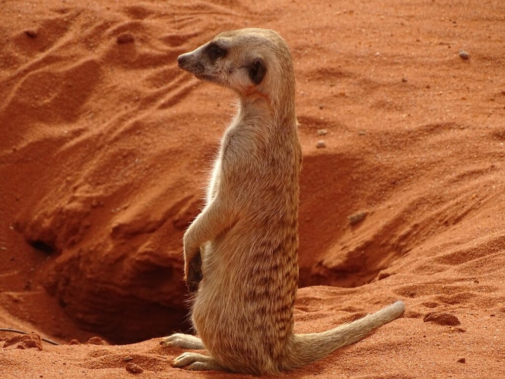 Namibia mit Kindern