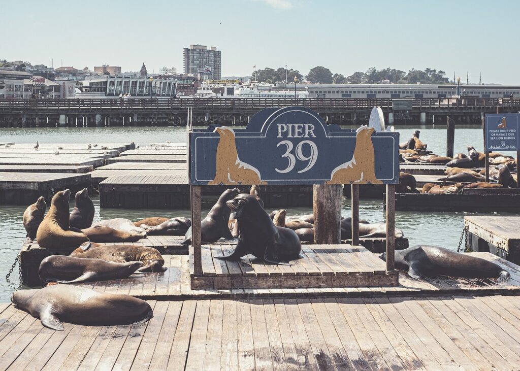 Pier 39