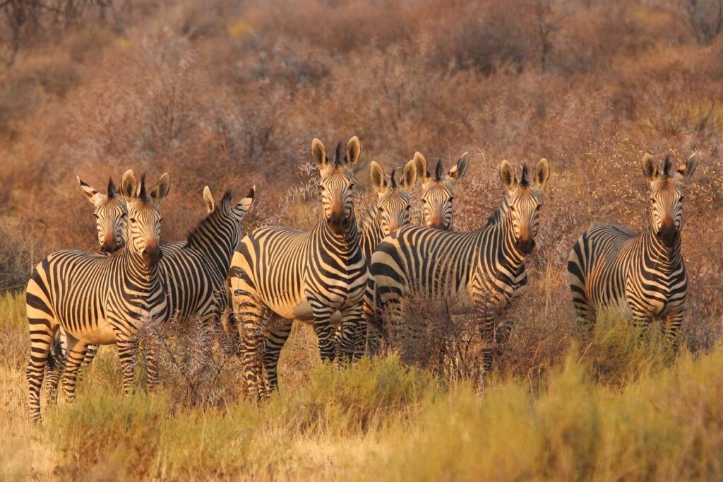 Namibia mit Kindern
