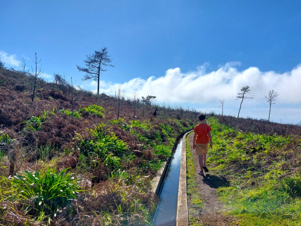 Levada