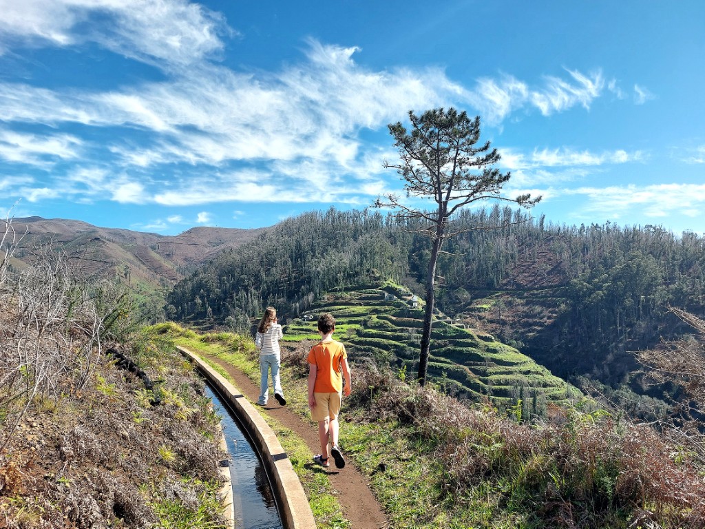 Levada