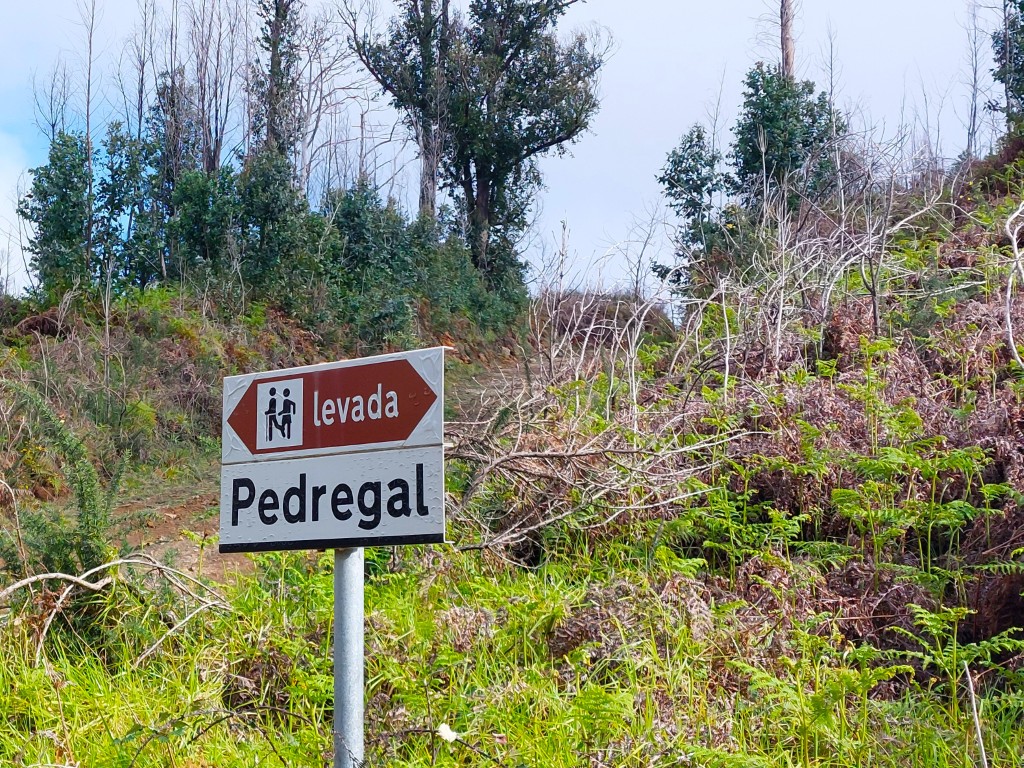 Levada Madeira mit Kindern