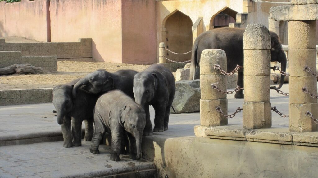 Zoo